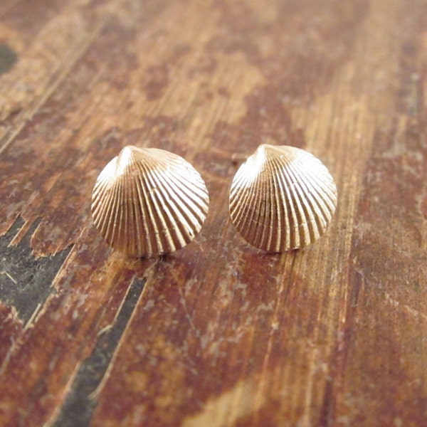 Seashell Earrings Etsy