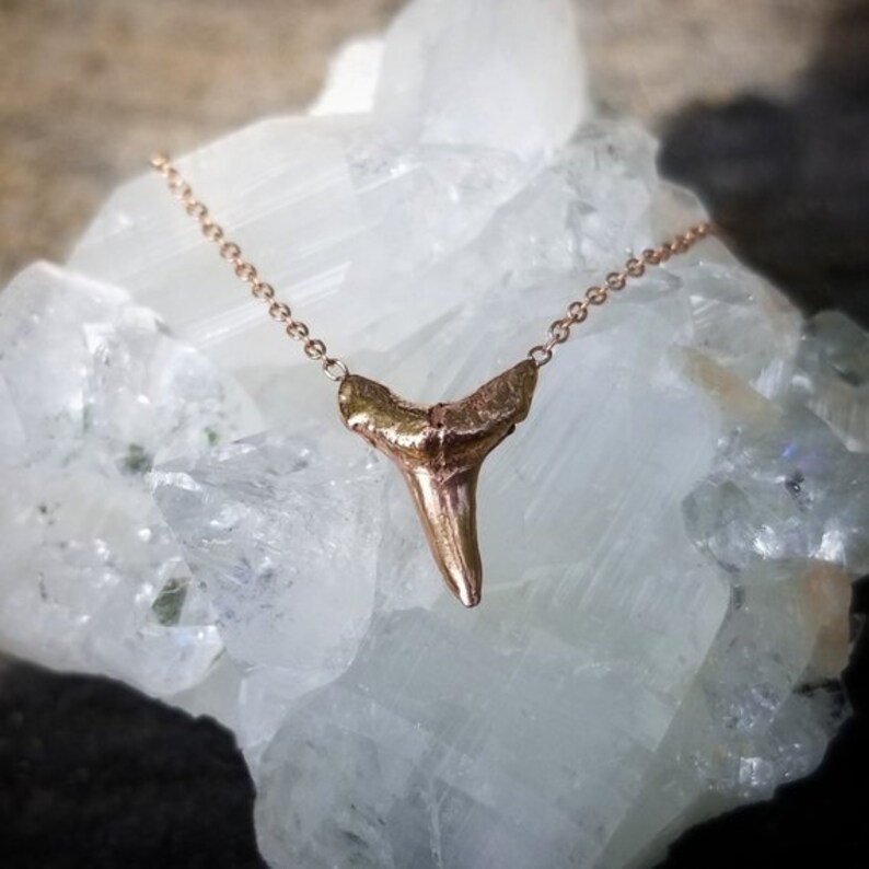 14k Gold Shark Tooth Necklace Rose - 14k Gold Shark Tooth Pendant 14k Gold Shark Tooth Necklace Rose - 14k Gold Shark Tooth Pendant