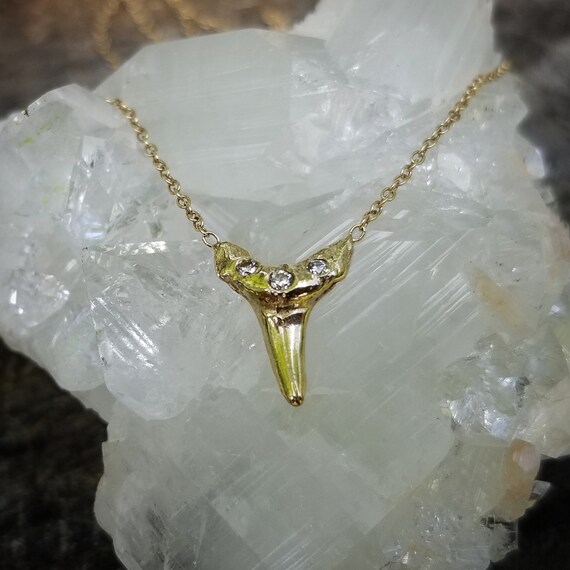 14k Gold Shark Tooth Necklace Necklaces Diamond - 14k Gold Shark Tooth Pendant 14k Gold Shark Tooth Necklace Necklaces Diamond - 14k Gold Shark Tooth Pendant