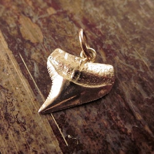 14k Gold Shark Tooth Necklace, 14K Gold Shark Tooth Charm, Gold Shark Tooth Pendant. Shark Tooth Jewelry, Rose Gold Sharktooth Necklaces