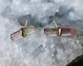 May include: A pair of stud earrings featuring raw, elongated watermelon tourmaline crystals in shades of pink and green. Each crystal is horizontally set in a polished gold-tone metal band with a thin post backing for secure attachment to the ear.