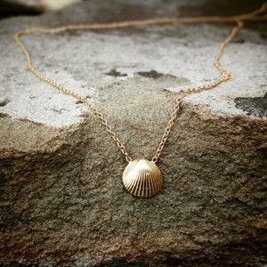14K Gold Seashell Necklace Rose Gold Necklace Seashell Necklaces Gold Shell Necklace Womens Gift Sea Shell Necklace Gold Shell 14K Necklaces