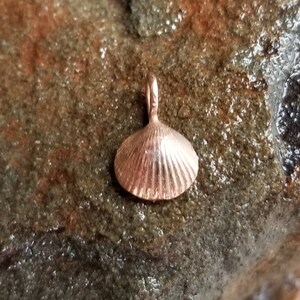 Rose Gold Shell Charm, Seashell Charm, Gift for Women, 14K Gold Charm, 14K Gold Sea Shell Charm, Necklace Charm, Rose Gold Seashell Pendant