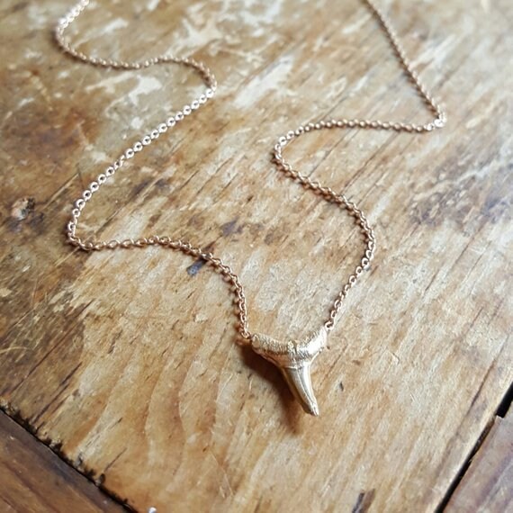 Rose gold deals shark tooth necklace
