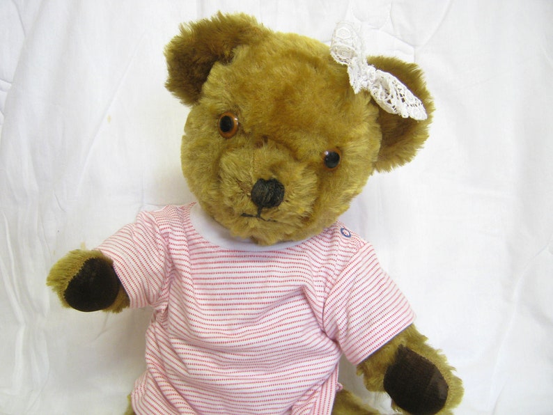 pedigree teddy bear with growler