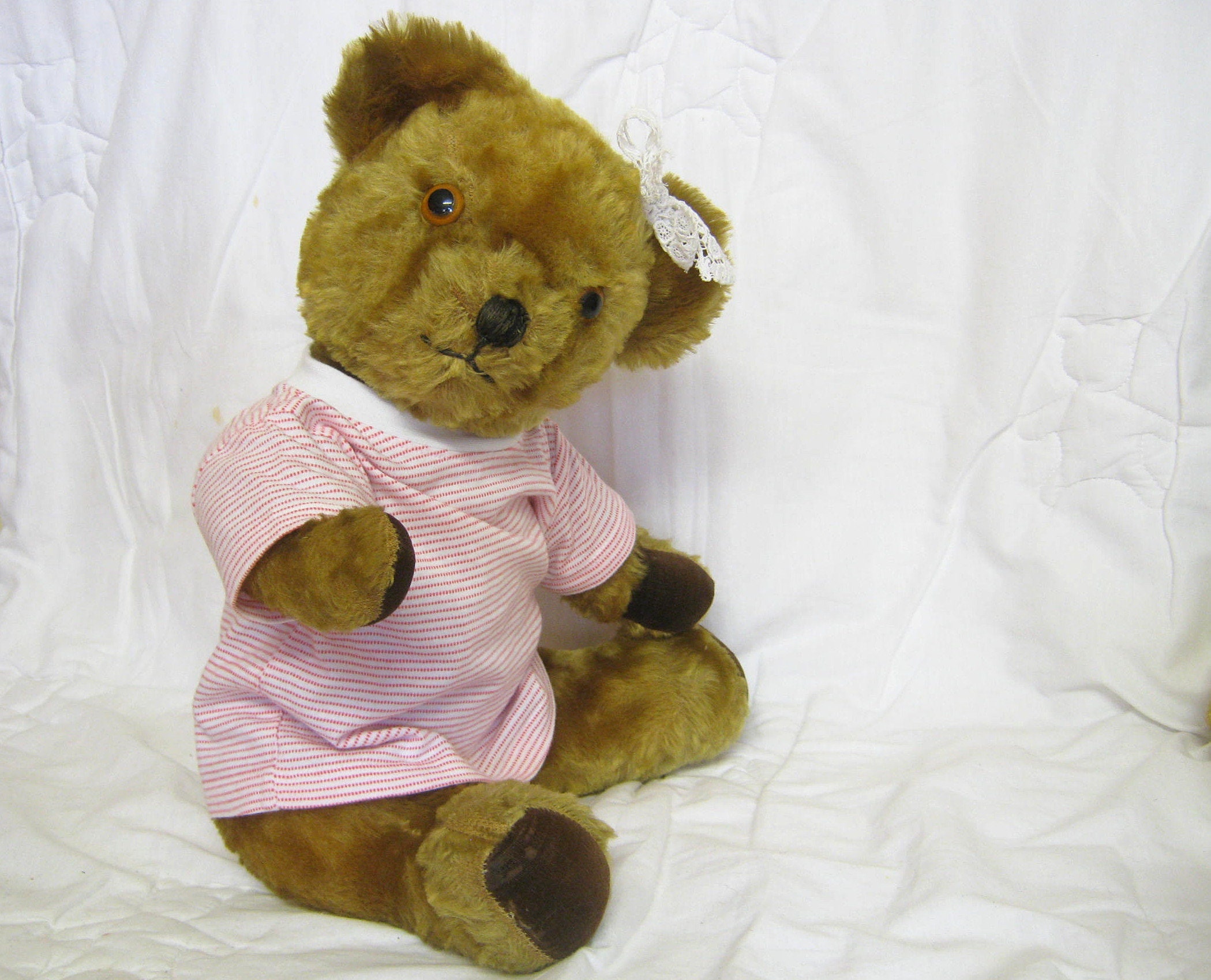 pedigree teddy bear with growler