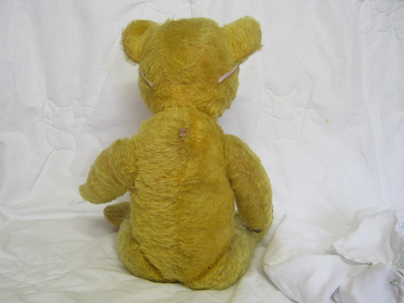 pedigree teddy bear with growler