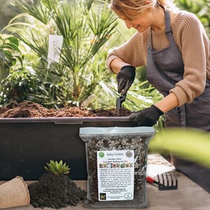 Puede incluir: Una bolsa de tierra para macetas de suculentas Baby Violets. La bolsa es blanca con texto verde y negro. El texto en la bolsa dice "Baby Violets Succulent Potting Soil Mix". La bolsa est&aacute; sobre una mesa con una persona en el fondo.