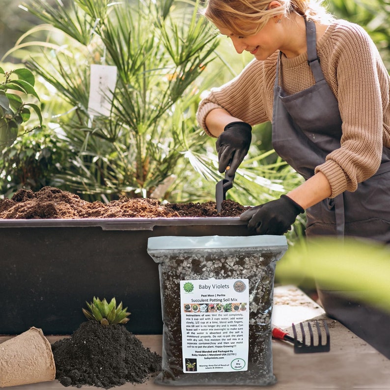 Puede incluir: Una bolsa de tierra para macetas de suculentas Baby Violets. La bolsa es blanca con texto verde y negro. El texto en la bolsa dice "Baby Violets Succulent Potting Soil Mix". La bolsa est&aacute; sobre una mesa con una persona en el fondo.
