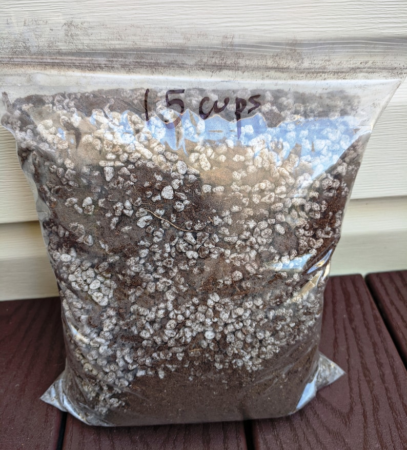 Bamboo Bonsai Plant Potting Soil Mix Peat Moss & Perlite Etsy