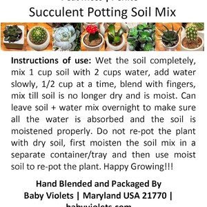 Puede incluir: Una bolsa verde de mezcla de tierra para macetas de suculentas con una etiqueta que dice "Baby Violets Peat Moss | Perlite Succulent Potting Soil Mix". La etiqueta tambi&eacute;n incluye instrucciones de uso y una advertencia para mantenerla fuera del alcance de los beb&eacute;s y los ni&ntilde;os. La bolsa contiene 1 cuarto seco de tierra.