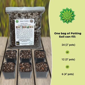 Puede incluir: Una bolsa de tierra para macetas de suculentas Baby Violets, una mezcla de tierra marr&oacute;n y blanca, con una etiqueta blanca que dice "Baby Violets" y "Succulent Potting Soil Mix". La bolsa est&aacute; sobre una superficie de madera con seis peque&ntilde;as macetas negras llenas de la mezcla de tierra. El texto en el lado derecho de la imagen dice "Una bolsa de tierra para macetas puede llenar: 24 (macetas de 2 pulgadas) o 12 (macetas de 3 pulgadas) o 6 (macetas de 4 pulgadas)"