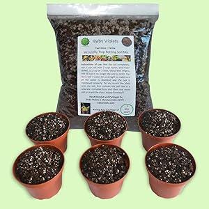 May include: A clear plastic bag containing dark brown Venus Fly Trap potting soil mix with white perlite, labeled Baby Violets, positioned above five small, round, terracotta-colored plastic pots filled with the same soil mixture.