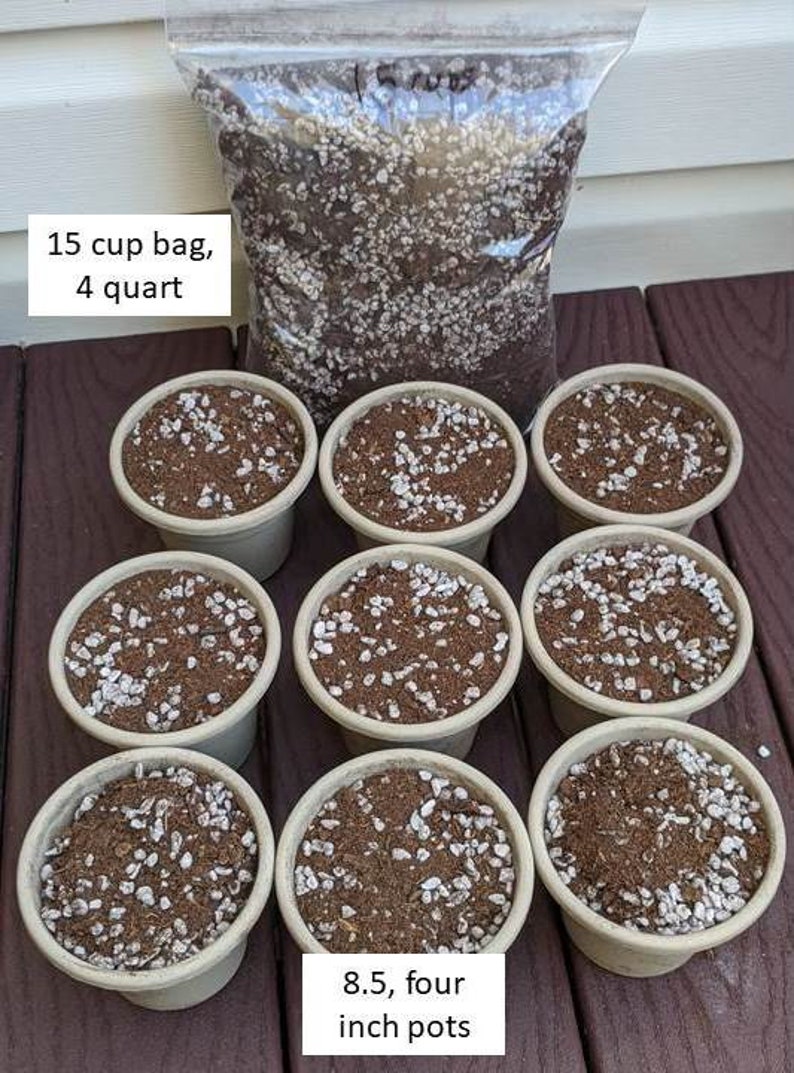 African Violet Plant Potting Soil Mix Peat Moss & Perlite Etsy