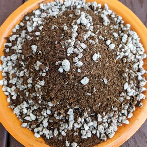 Puede incluir: Primer plano de una mezcla de tierra marr&oacute;n y piedras blancas en un plato de cer&aacute;mica naranja. La tierra y las piedras se mezclan en un mont&iacute;culo.