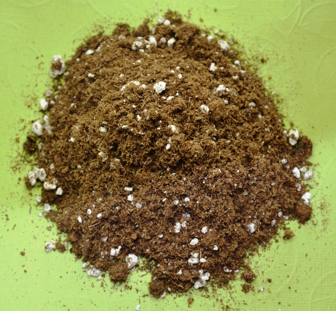 1qt 4 Dry Quarts Streptocarpus Plant Soil Container Gardening Mix Peat
