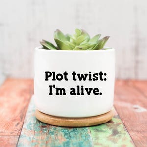 May include: A white ceramic planter with the text "Plot twist: I'm alive." contains a green succulent plant. The planter sits on a small wooden coaster, placed on a colorful wooden surface.