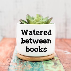 May include: A white ceramic pot with the text "Watered between books" in black lettering, holding a green succulent plant. The pot sits on a small wooden coaster, placed on a multicolored wooden surface.