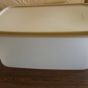 Op de afbeelding: Een rechthoekige, witte plastic container met een beige deksel. Het deksel heeft een licht afgeronde vorm en een opstaande rand. De container staat op een donker houten oppervlak. De container wordt waarschijnlijk gebruikt voor voedselopslag.