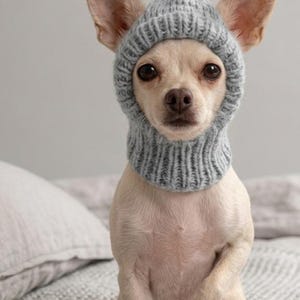 Puede incluir: Un perro pequeño de color claro con orejas grandes y erguidas que lleva un gorro de punto acanalado de color gris claro estilo pasamontañas. El gorro tiene un pompón gris a juego en la parte superior y se ajusta a la cara del perro.