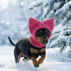 Może przedstawiać: Czarno-podpalany jamnik w różowej dzianinowej czapce z uszami kota i pasującym ocieplaczem na szyję, biegnący po śniegu. Pies znajduje się w zimowej scenerii z ośnieżonymi gałęziami drzew iglastych w tle.