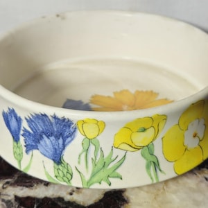 Può includere: Una ciotola rotonda in ceramica bianco sporco con un motivo floreale. La ciotola presenta fiordalisi blu e papaveri gialli sul bordo. L'interno della ciotola ha un motivo floreale giallo. Un pezzo decorativo per la casa.