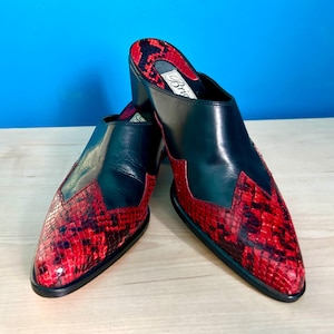 May include: A pair of black leather mules with red snakeskin-patterned vamps and accents. The shoes have a pointed toe and a small heel. The brand name "Brie" is visible on the insole.