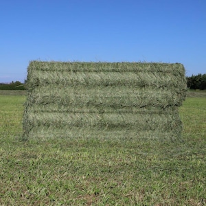 Premium Natural Meadow Hay for Rabbits 5 kg - Economy Size