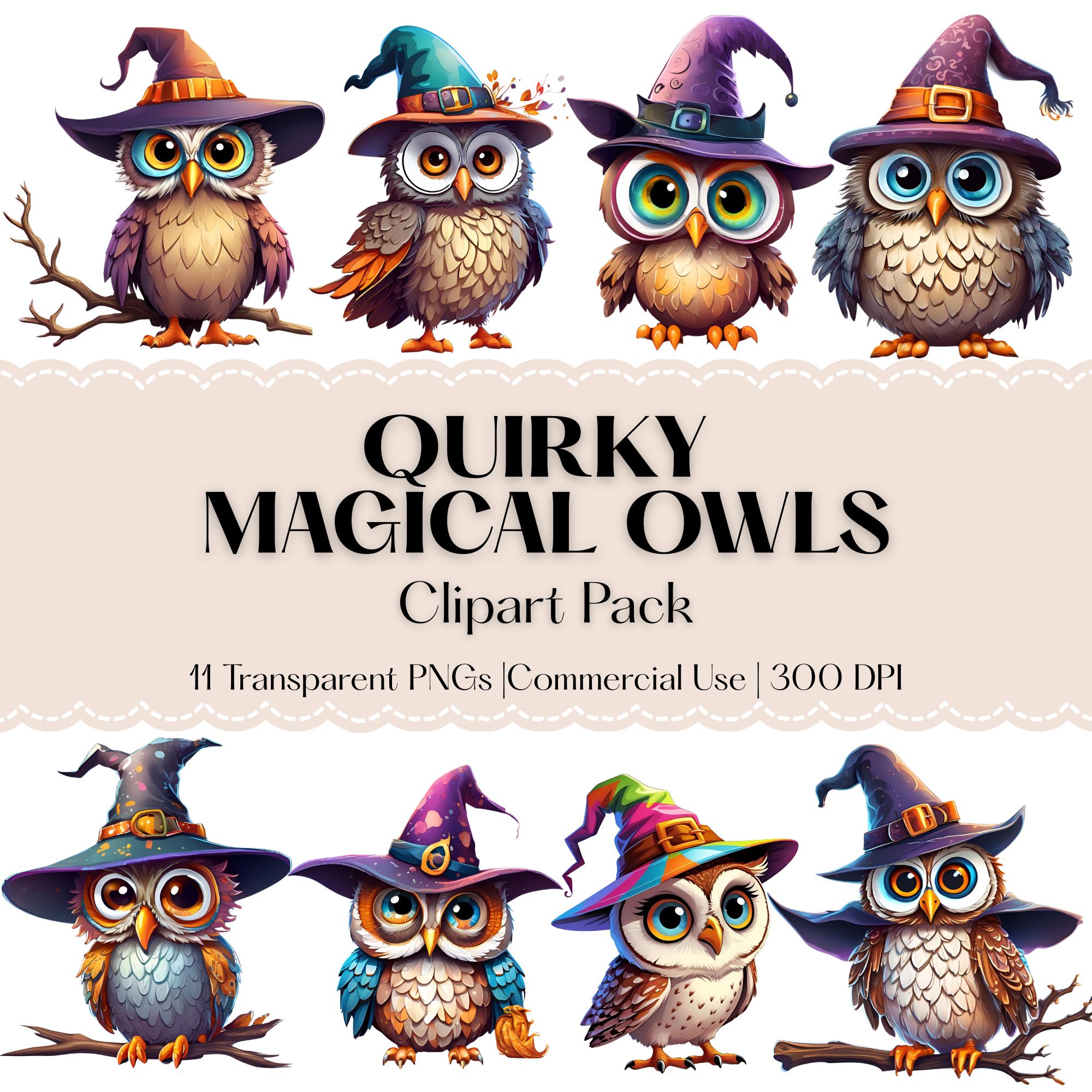 Quirky Magical Owls Clipart - Owls in Witch Hats - Halloween Birds - Watercolor Funky Owl PNGs - Fun