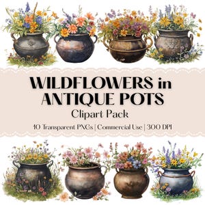 May include: Watercolor clipart pack featuring antique pots overflowing with colorful wildflowers. The image includes the text "WILDFLOWERS in ANTIQUE POTS Clipart Pack". The pack includes 10 transparent PNGs for commercial use.