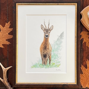Rehbock limitierter Kunstdruck - Aquarell - Reh - Jagdkunst - WILD.ART.TIETZE