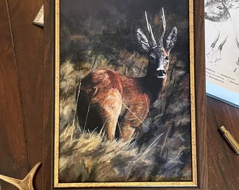 Estampe d'art en édition limitée représentant un chevreuil - Image de chevreuil - Art de la chasse - WildArtTietze
