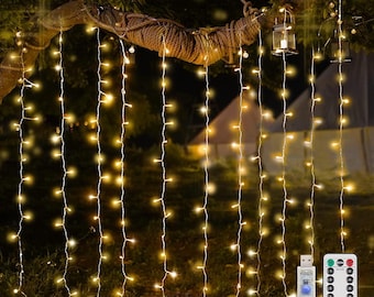 May include: Warm white string lights hanging from a tree branch, creating a curtain effect. Includes a USB connector and a remote control with multiple button options. Two small lanterns hang from the branch.