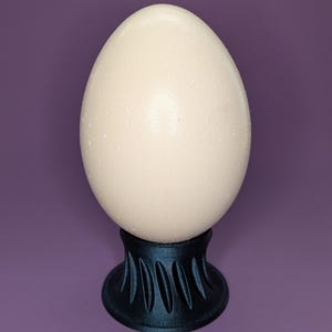 May include: A large, off-white egg is displayed on a dark blue, decorative egg holder. The egg has a smooth, textured surface. The holder has a detailed, scalloped design. The background is a solid purple color.