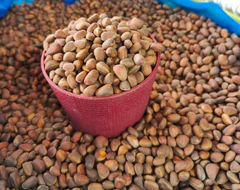 Cedar pine nut 400 - 2700 g. Kernel Natural Seeds Siberian 2025 Harvest