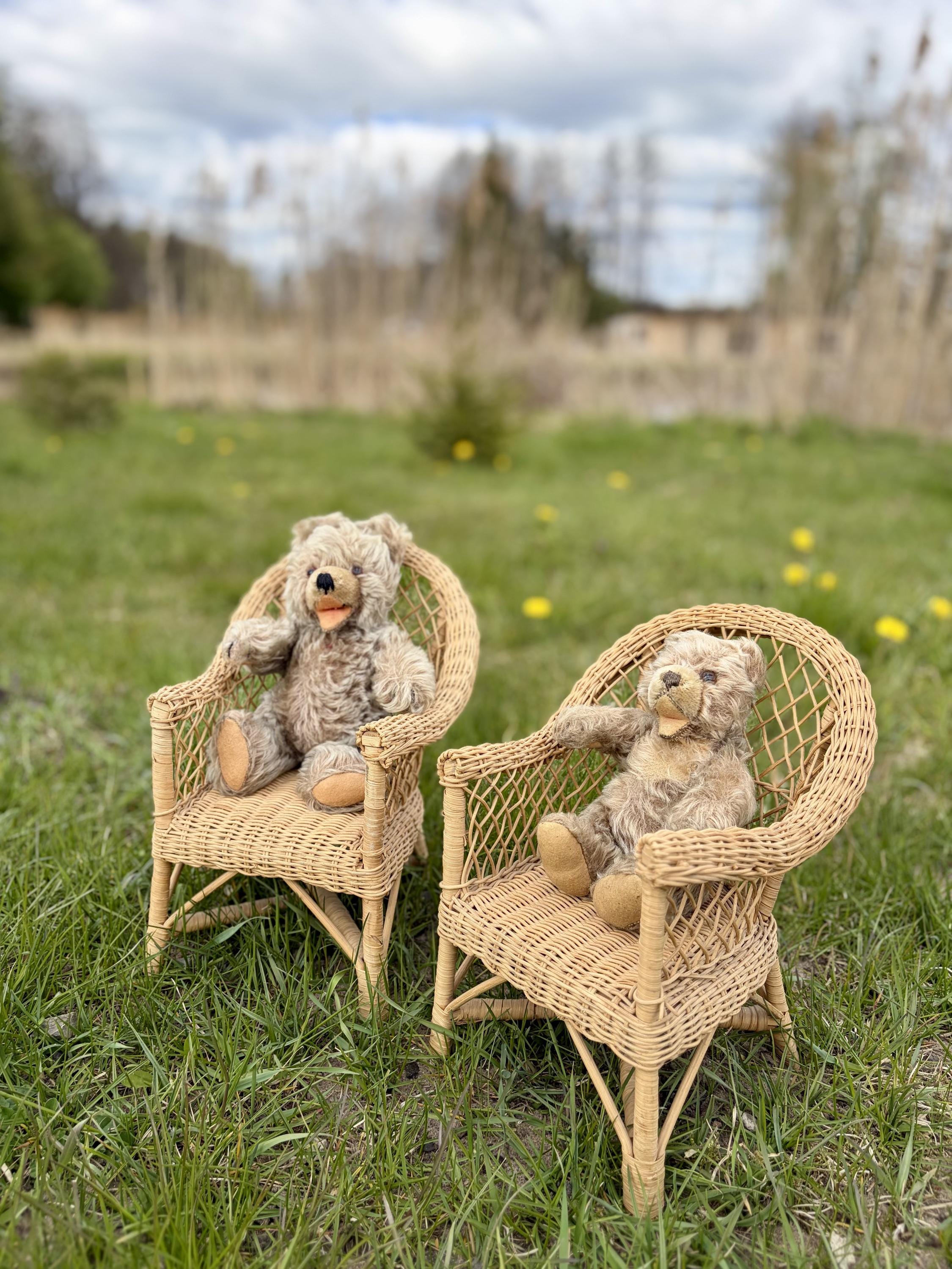 Steiff zotty bear - Etsy 日本