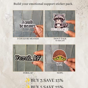 May include: A collection of four vinyl stickers featuring humorous text and illustrations. The designs include the phrases I could be meaner, Don't talk to me yet with a raccoon, Feral AF, and Nope with a turtle. These stickers are displayed as a set.