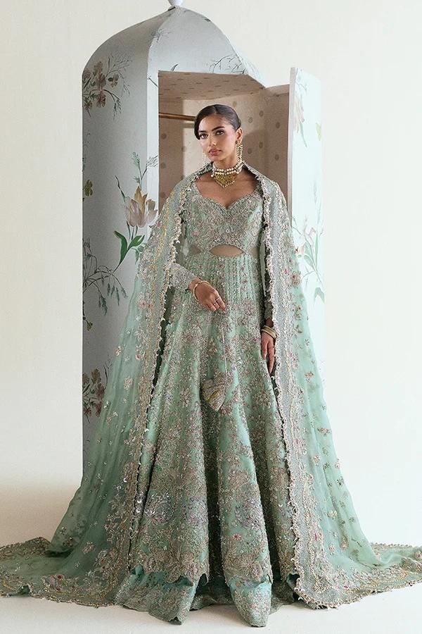 embroidered organza dress pakistani Ramsha Pakistani Luxury Organza Dress main image 1