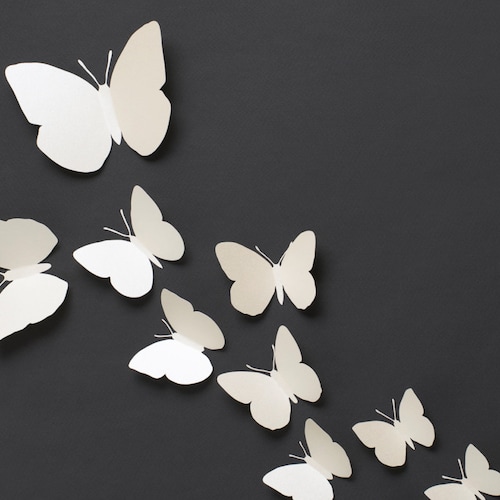 Other Assemblage Mixed Media & Collage Natural 3D Butterfly Canvas