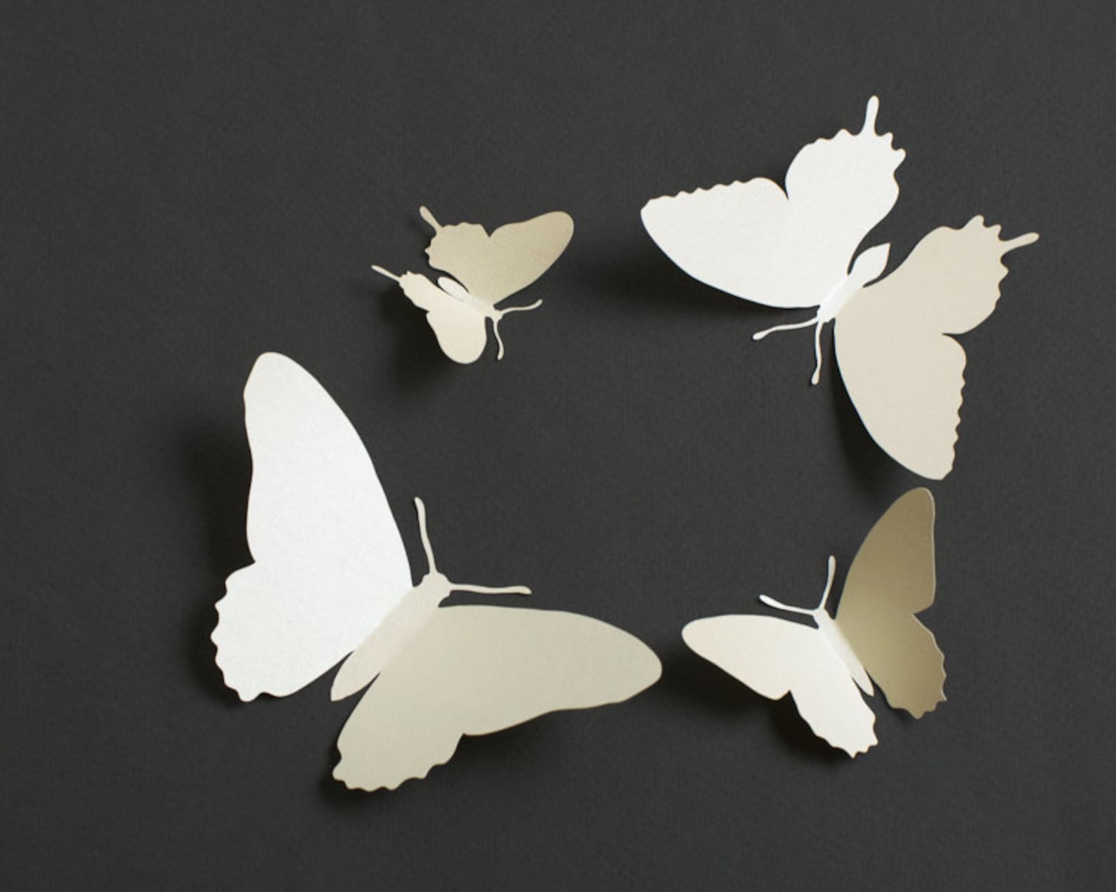 3D Wall Butterflies 3D Butterfly Wall Art for Modern Home Etsy