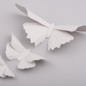 3D Butterfly Wall Art: Platinum Silhouettes for Girls Room, Nursery, and Home Art Decor image 2