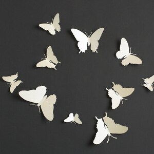 3D Wall Butterflies: 3D Butterfly Wall Art for Modern Home Decor in Pearl Metallic image 2