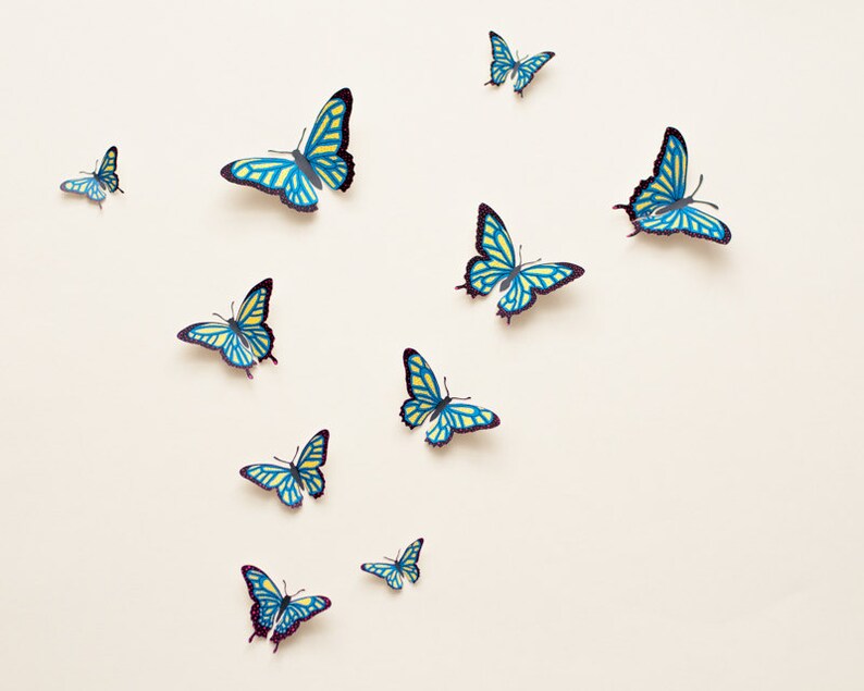 3D Wall Butterflies Butterfly Wall Art Illustrated Etsy