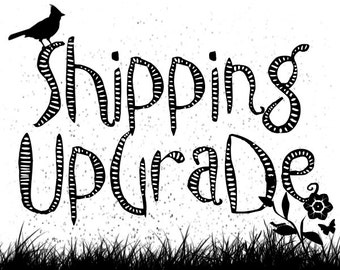 Priority Shipping Upgrade - US Customers Only