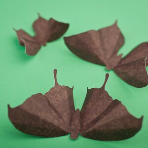 Brown Boho Butterfly Nursery Wall Art in Chocolate Damask, Earth Child Wall Decor