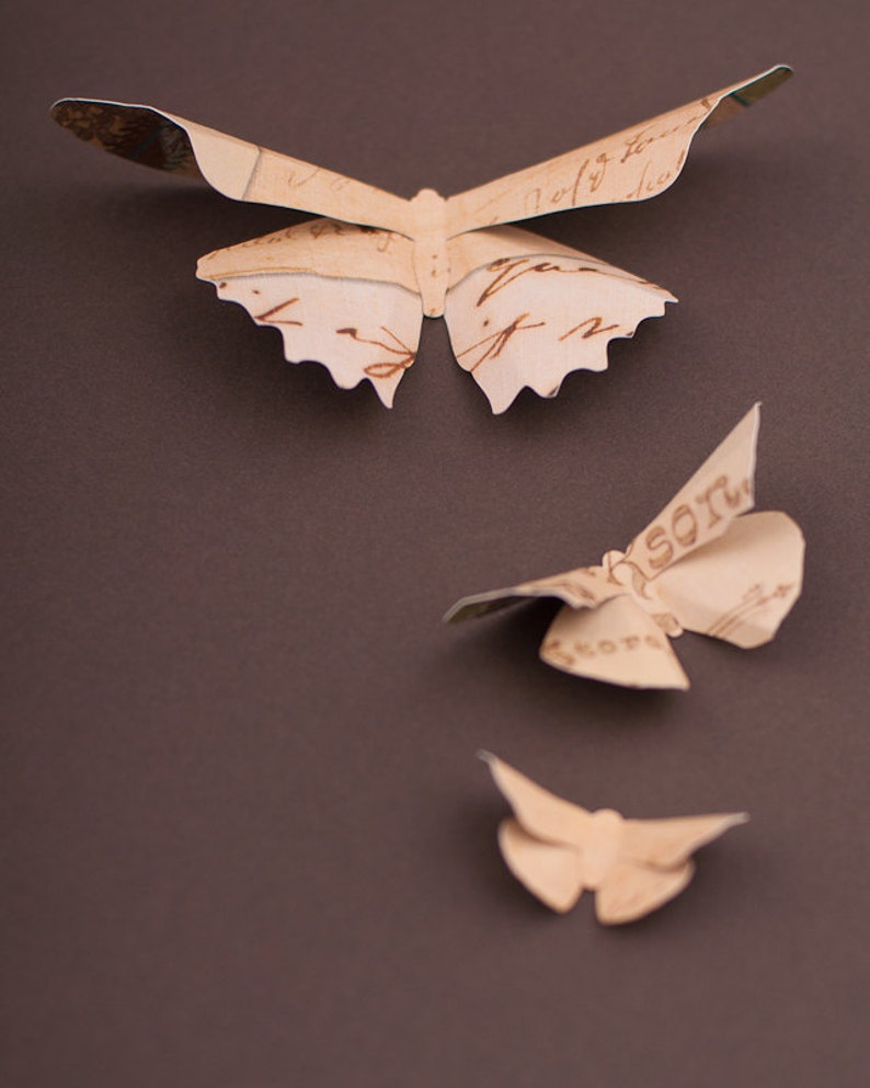 3d Butterfly Wall Art Paper Butterflies Brown Tan Whimsical Decor Woodland Nursery Large Vintage Script Wall Decals Murals Home Living Kromasol Com