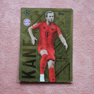 Gold Edge Harry Kane