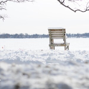 May include: A wooden bench covered in snow sits on a snowy shore with a frozen lake in the background. The bench is facing away from the viewer.