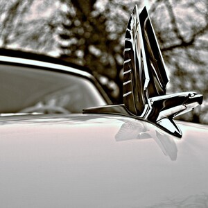 May include: A vintage car with a chrome eagle hood ornament. The car is white and the ornament is shiny.