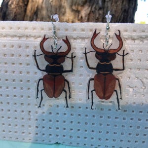 Puede incluir: Pendientes hechos a mano con un diseño de ciervo volante. Los pendientes tienen un fondo transparente con un escarabajo pintado en marrón y negro. El escarabajo tiene grandes cuernos curvados y patas delicadas, suspendidos de ganchos plateados.